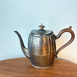 Elegant Silver and Brown Teapot